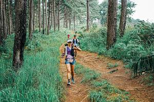 BIB: 
                            <button type="button" onclick="openModal(25661031)" class="btn btn-primary btn-sm float-right btn-popup" data-toggle="modal" data-target=".modal-high-quality">
                        <i class="fas fa-shopping-cart"></i> Add to Cart
                    </button>
                                            <button type="button" onclick="isThisMe(25661031, true)" class="btn btn-success btn-sm float-right btn-popup btn-isme hidden" data-toggle="tooltip" data-placement="bottom" title="นี่คือรูปของคุณใช่ไหม คลิกที่นี่เพื่อเอาเข้าอัลบั้ม">
                        <i class="fas fa-plus"></i> Add to album
                    </button>
                    <button type="button" onclick="isThisMe(25661031, false)" class="btn btn-warning btn-sm float-right btn-popup btn-isnotme hidden">
                        <i class="fas fa-ban"></i> Remove from album
                    </button>